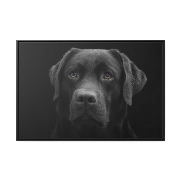 88289-346.jpg Black Dog Face Close Up Framed Canvas