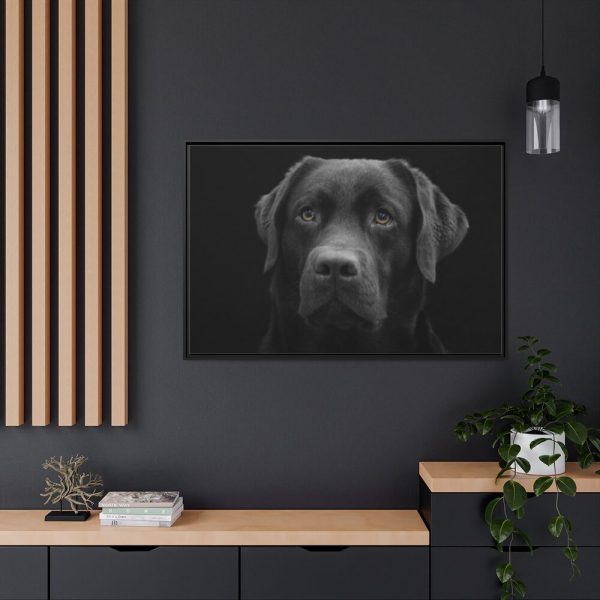 88289-349.jpg Black Dog Face Close Up Framed Canvas