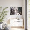 88289-418.jpg White Bengal Tiger Framed Canvas