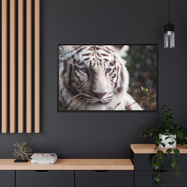 88289-419.jpg White Bengal Tiger Framed Canvas