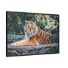 88289-425.jpg Tiger Sitting on Rock Framed Canvas