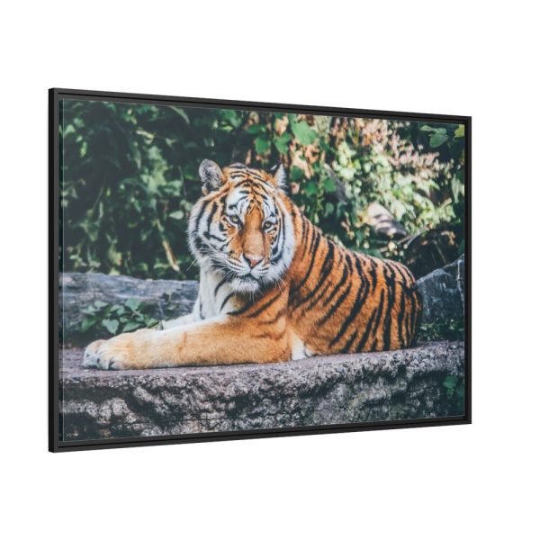 88289-425.jpg Tiger Sitting on Rock Framed Canvas
