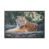 88289-426.jpg Tiger Sitting on Rock Framed Canvas