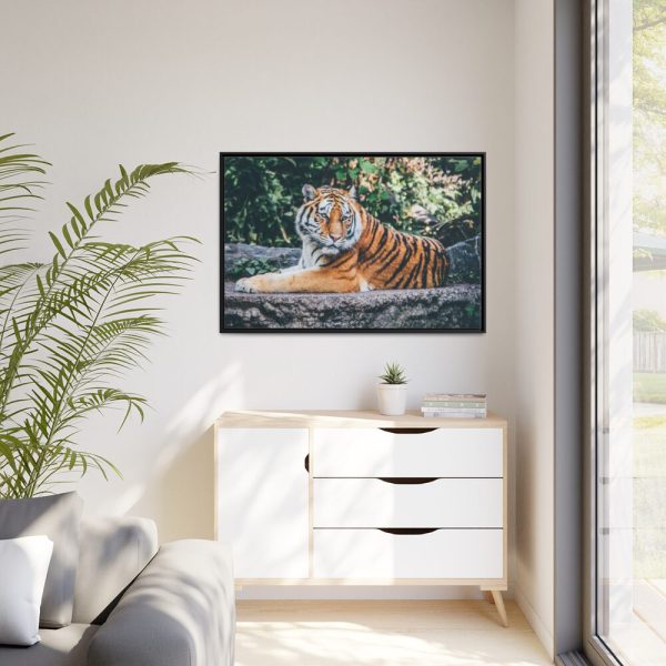 88289-428.jpg Tiger Sitting on Rock Framed Canvas