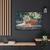 88289-429.jpg Tiger Sitting on Rock Framed Canvas