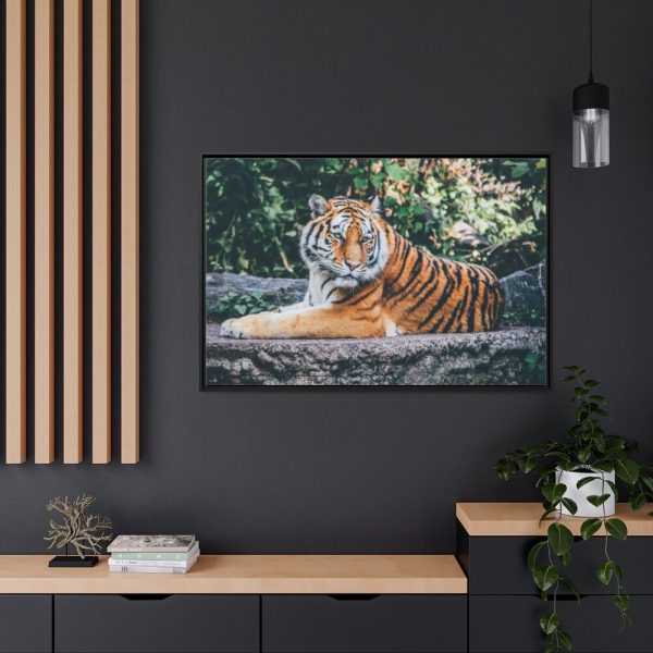 88289-429.jpg Tiger Sitting on Rock Framed Canvas
