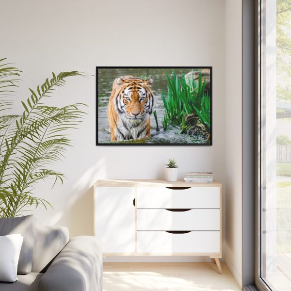 Tiger Walking Framed Canvas