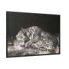 88289-465.jpg A Tyger Sleeping Cheetah by George Stubbs Framed Canvas
