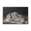 88289-466.jpg A Tyger Sleeping Cheetah by George Stubbs Framed Canvas