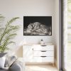 88289-468.jpg A Tyger Sleeping Cheetah by George Stubbs Framed Canvas