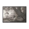 88289-471.jpg A Tyger by George Stubbs Framed Canvas