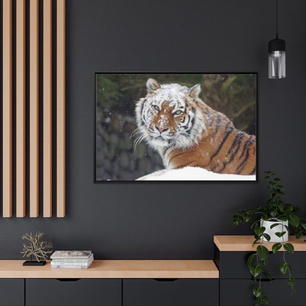 88289-484.jpg Free Siberian Tiger Framed Canvas