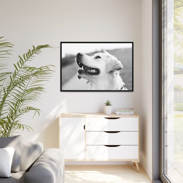 Labrador Retriever Dog in Black and White Framed Canvas