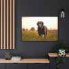 88289-494.jpg Black Labrador Retriever in Grass Field Framed Canvas