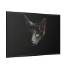 88289-500.jpg Black Bombay Cat in the Dark Framed Canvas