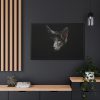 88289-504.jpg Black Bombay Cat in the Dark Framed Canvas
