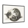 88289-505.jpg Rolled up Lying Sleeping Cat by Jean Bernard Framed Canvas