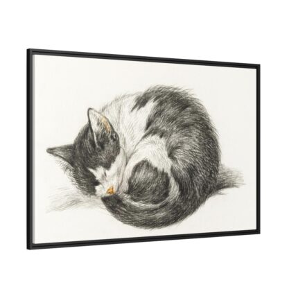 Rolled up Lying Sleeping Cat by Jean Bernard Framed Canvas
