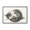 88289-506.jpg Rolled up Lying Sleeping Cat by Jean Bernard Framed Canvas