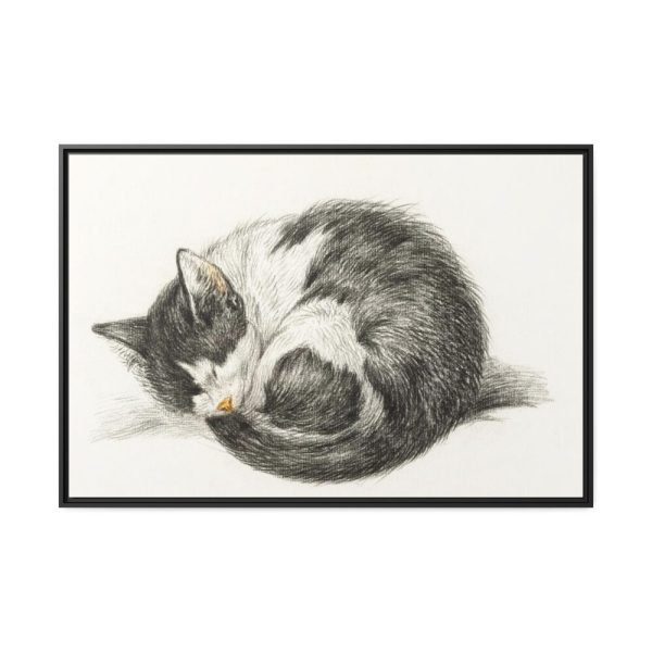 88289-506.jpg Rolled up Lying Sleeping Cat by Jean Bernard Framed Canvas