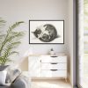 88289-508.jpg Rolled up Lying Sleeping Cat by Jean Bernard Framed Canvas