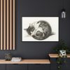 88289-509.jpg Rolled up Lying Sleeping Cat by Jean Bernard Framed Canvas
