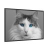 88289-510.jpg Cute Maine Coon Cat Framed Canvas