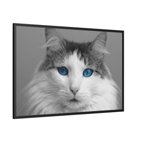 88289-510.jpg Cute Maine Coon Cat Framed Canvas