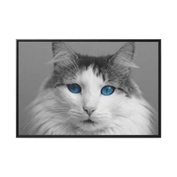 88289-511.jpg Cute Maine Coon Cat Framed Canvas