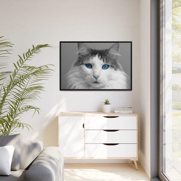 88289-513.jpg Cute Maine Coon Cat Framed Canvas