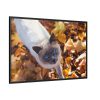 88289-530.jpg Autumn Cat Framed Canvas