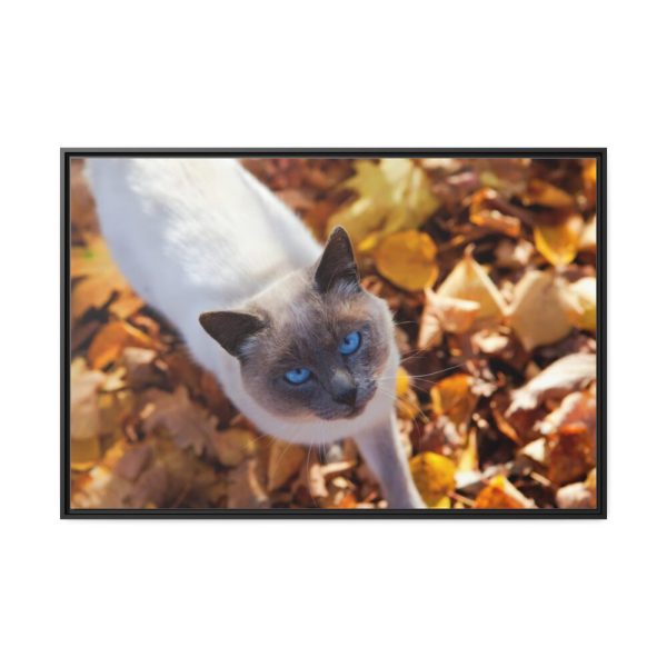 88289-531.jpg Autumn Cat Framed Canvas