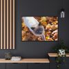 88289-534.jpg Autumn Cat Framed Canvas