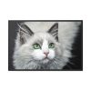 88289-536.jpg Cat with Green Blue Eyes Framed Canvas