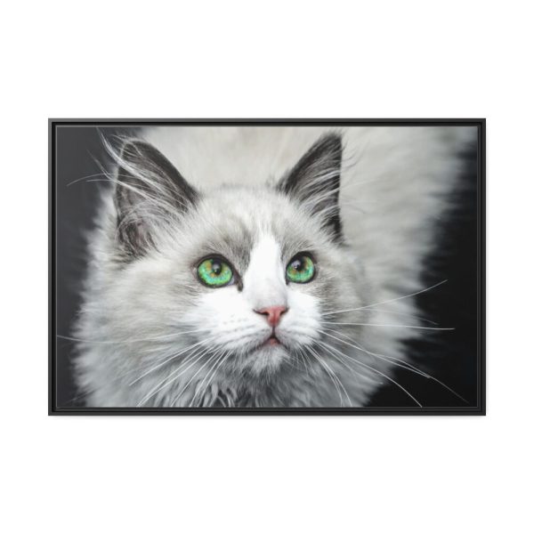 88289-536.jpg Cat with Green Blue Eyes Framed Canvas