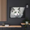 88289-539.jpg Cat with Green Blue Eyes Framed Canvas
