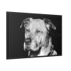 88289-545.jpg Dog Boxer Labrador Mixed Framed Canvas