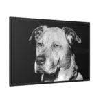Dog Boxer Labrador Mixed Framed Canvas