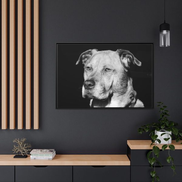 88289-549.jpg Dog Boxer Labrador Mixed Framed Canvas