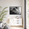 88289-563.jpg Beautiful Labradors Eyes Framed Canvas
