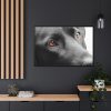 88289-564.jpg Beautiful Labradors Eyes Framed Canvas