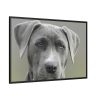88289-565.jpg Grey Labrador with Blue Eyes Framed Canvas