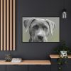 88289-569.jpg Grey Labrador with Blue Eyes Framed Canvas