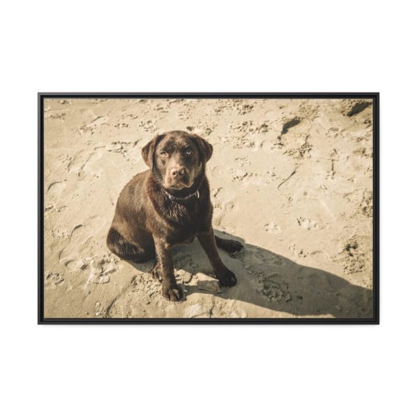 88289-571.jpg Labrador On the Sand Framed Canvas