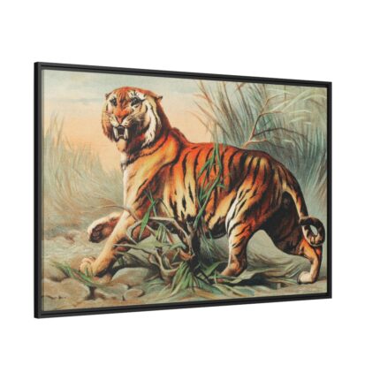 Royal Bengal Tiger by John Karst Framed Canvas