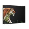 88289-580.jpg A Tiger in the Darkness Framed Canvas
