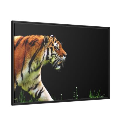 A Tiger in the Darkness Framed Canvas
