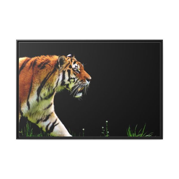 88289-581.jpg A Tiger in the Darkness Framed Canvas