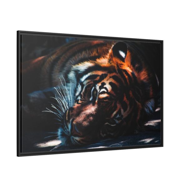 88289-585.jpg Close-up Tiger Head Resting in the Shade Framed Canvas