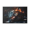 88289-586.jpg Close-up Tiger Head Resting in the Shade Framed Canvas